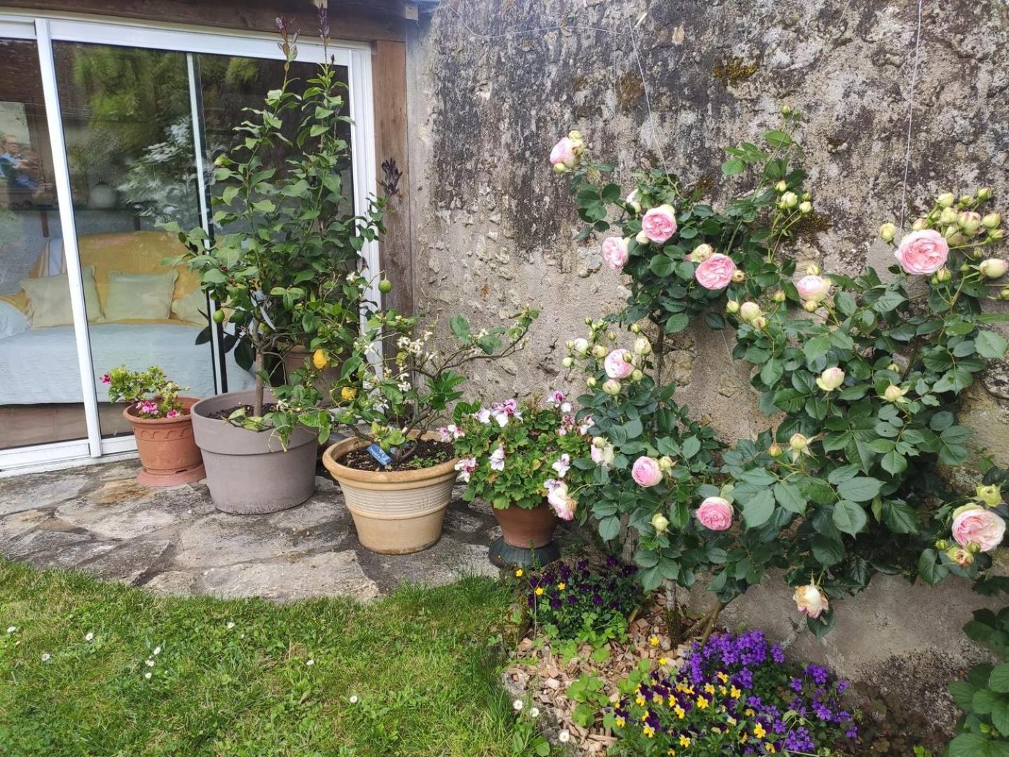 Le Relais De L'Ormeau - Charmant Gite Pour 4 Pers. Lussault-sur-Loire Exterior photo